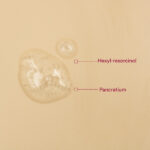 spotEx Concentrate - Imagen 3